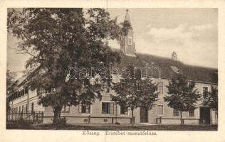 Kőszeg Erzsébet szanatórium, Róth Jenő kiadása