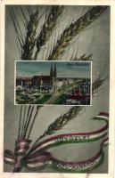 Békéscsaba, Szent István tér, búzakalász, magyar szalag (fa)