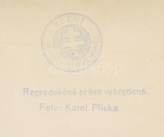 Hegyi levegő a Tátrában. Régi fotó. Jelzett: Karol Plicka. Matice Slovenskej. 19,5x29,5cm