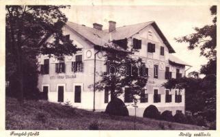 Fonyód-fürdő, Sirály szálloda (ázott / wet damage)