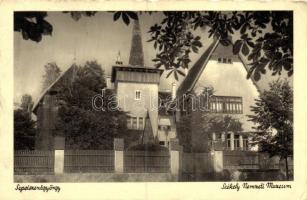 Sepsiszentgyörgy, Székely Nemzeti Múzeum / museum (EK)