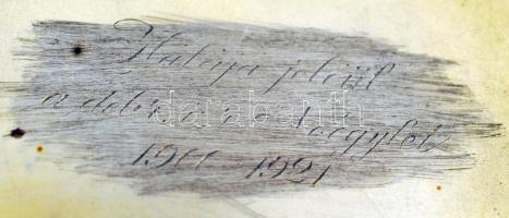 Ezüst (Ag.) cigaretta tálca, zománc díszítéssel (pár helyen sérült), jelzett, mesterjeggyel (GL), mo...