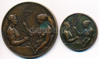 Damkó József (1872-1955) / Exner Károly (1850-1919) DN "Magyar Országos Torna Szövetség" B...