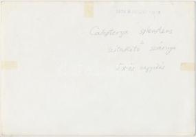 cca 1935 Kinszki Imre (1901-1945): Szitakötő szárnya ötszörös nagyításban, pecséttel jelzett, felira...