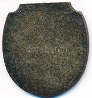 DN "Magyar Úszó Egyesület 1893" aranyozott Br emlékérem (32x30mm) T:2,2-