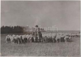 cca 1930 Kerny István (1879-1963): Bugaci nyáj, pecséttel jelzett vintage néprajzi fotó, 11x15,5 cm