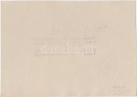 cca 1930 Kerny István (1879-1963): Bugaci nyáj, pecséttel jelzett vintage néprajzi fotó, 11x15,5 cm