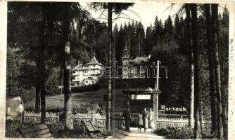 Borszék, Marika villa / villa (EK)