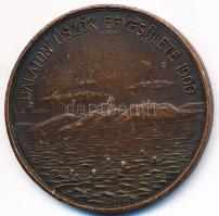 Exner Károly (1850-1919) DN "Balatoni Úszók Egyesülete 1900 / Úszó verseny díj" Br díjérem (35mm) T:2-