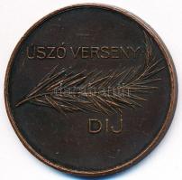 Exner Károly (1850-1919) DN "Balatoni Úszók Egyesülete 1900 / Úszó verseny díj" Br díjérem...