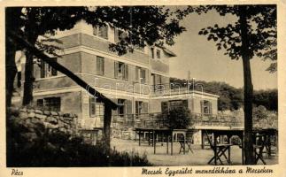 Pécs, Mecsek Egyesület menedékháza (fa)