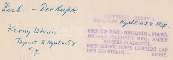 cca 1930 Kerny István (1879-1963): Zab, feliratozott, pecséttel jelzett vintage fotóművészeti alkotá...