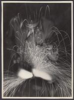 cca 1950 Tóth Gusztávné (Cegléd): Hegesztés, a szerző által feliratozott fotóművészeti alkotás, 23x17 cm