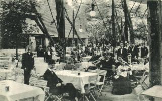 Budapest XIV. Városliget, Gundel (Vampetics) vendéglő, Divald és Monostory (fa)