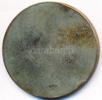 Berán Nándor (1889-1965) DN "Kegyesrendi Gimnázium" ezüstözött Br emlékérem (35mm) T:2