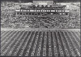 cca 1965 Sportünnepség a Népstadionban, 16x23 cm