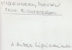 cca 1970 Vigovszky István: A híres lipicaiak, a szerző által feliratozott vintage fotóművészeti alko...