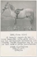 1959 Gyöngyös, Pluto, a jó terepló bemutatkozása, 9x14 cm