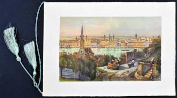 Budapest egykori látképe, litho. A vármegyeháza, a Pesti hazai első Takarékpénztár-Egyesület első ot...