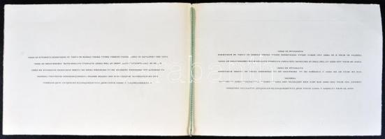 Budapest egykori látképe, litho. A vármegyeháza, a Pesti hazai első Takarékpénztár-Egyesület első ot...