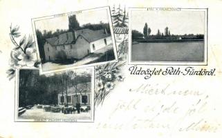 Pétfürdő, Fürdő szálloda, ebédlő és kerthelyiség, halas tó, floral (EB)