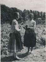 cca 1935 Reich Péter Cornel: Szent Endrei réten, feliratozott, pecséttel jelzett vintage fotó, 24x18 cm