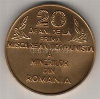 Románia 1977. "Lupeni antikommunista bányászfelkelés 1977" nagyalakú Br emlékérem. Szign:V...