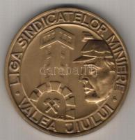 Románia 1995. "Petrosani-5 éves a Bányász Liga" nagyalakú Br emlékérem. Szign:V.G. T:1 díszdobozban
