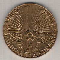 Románia 1984. "100 éves a lupeni bánya" nagyalakú Br emlékérem. Szign:V.G. T:1 díszdobozban