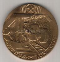 Románia 1984. "100 éves a lupeni bánya" nagyalakú Br emlékérem. Szign:V.G. T:1 díszdobozba...