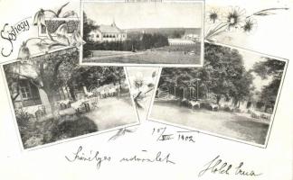 Tarcsafürdő, Sóshegy, Sulzriegel; restaurant, floral (cut)