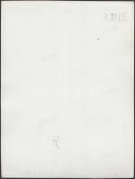 cca 1935 Szendrő István (1908-2000): Pillangó a jégen, jelzetlen vintage fotóművészeti alkotás a sze...