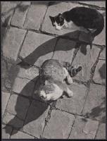 cca 1940 Osoha László: Kövér és sovány, a szerző által feliratozott, pecséttel jelzett vintage fotóművészeti alkotás, 21,5x16,5 cm