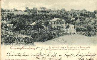 1899 Pozsony nyaraló telep / holiday resort (gluemark)