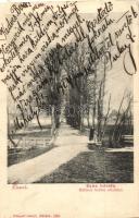 Zboró, Száz hársfa, Rákóczy kedves sétahelye, kiadja Divald Adolf / promenade