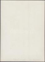 cca 1930 Pöltinger Gusztáv (Sopron): Az első kiscsizma, lágyító előtéttel készült, jelzetlen fotóműv...