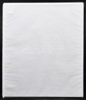 13 lapos (260 férőhelyes) érmeberakó gyűrűs dossziéban.