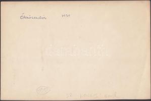 cca 1930 Dr. Kovács Emil: Ökrös szekér, jelzetlen fotóművészeti alkotás a szerző hagyatékából, 16x24...