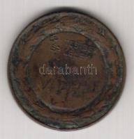 1880(?) "Csengery Antal-polgári iskola megteremtője Br emlékérem T:3