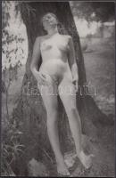 cca 1970 A fának támasztott leány esete, finoman erotikus fénykép, 14x9 cm / cca 1970 Erotic photo, 14x9 cm
