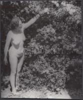 cca 1970 A lugas jótékony rejtekében, finoman erotikus fénykép, 21x18 cm / cca 1970 Erotic photo, 21x18 cm