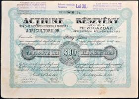 Románia / Arad 1923. "Mezőgazdák Kereskedelmi Részvénytársaság" részvénye 300L-ről szelvényekkel T:III Romania / Arad 1923. "Commercial Agriculture Company" share about 300 Lei with coupons C:F