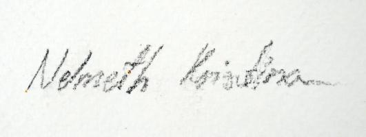 Németh Krisztina (1994-): A Dohány utcai zsinagóga. Akvarell, papír, jelzett, 23×28 cm