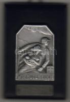 Svájc 1939. "Háborús mozgósítás" katonai emlékplakett falapon T:1