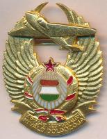 ~1970. "A polgári légiforgalom kiváló dolgozója" aranyozott, zománcozott kitüntetés T:2