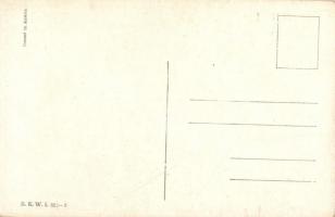 Mit vereinten Pferdekräften! / K.u.K. officers B.K.W.I. 822-3 s: Schönpflug