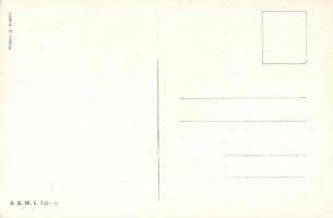 K.u.K. officer B.K.W.I. 748-4 s: Schönpflug