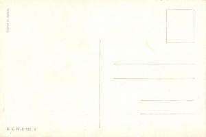 Sicheres Geleite / K.u.K. Officers B.K.W.I. 722-2 s: Schönpflug