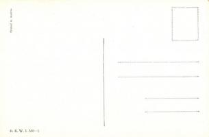 Der zukünftige Feldherr / K.u.K. Officer B.K.W.I. 530-1 s: Schönpflug