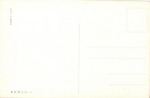 Verehrungsbezeigung / K.u.K. Guard B.K.W.I. 459-4 s: Schönpflug